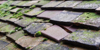 Edgcott roof repair costs